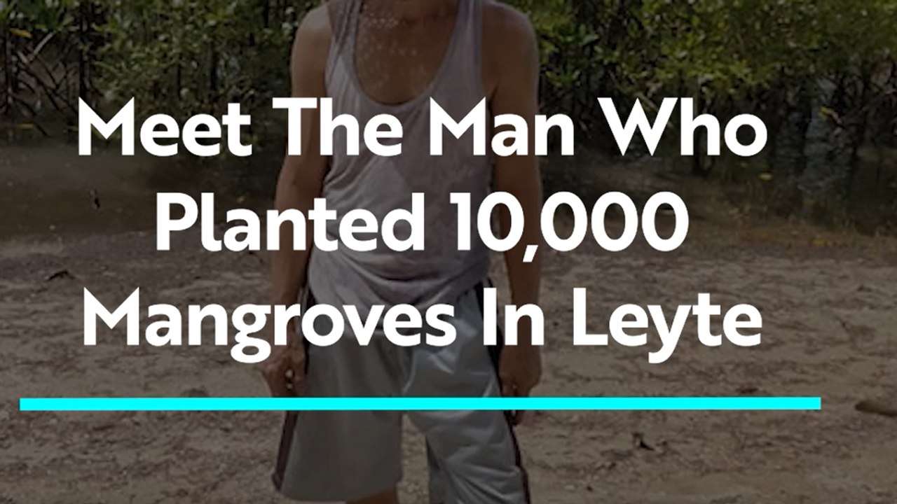 Meet the Man Who Planted More Than 10,000 Mangroves in Leyte