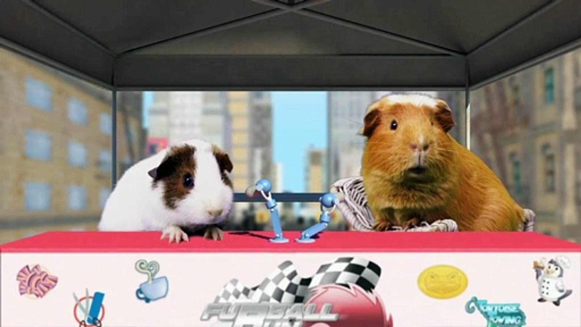 ⁣Amazing Pet Race Movie