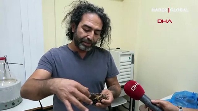 Aslan balığı zehri için 'cinsel problemlere çözüm olabilir' açıklaması geldi, uzman uyardı