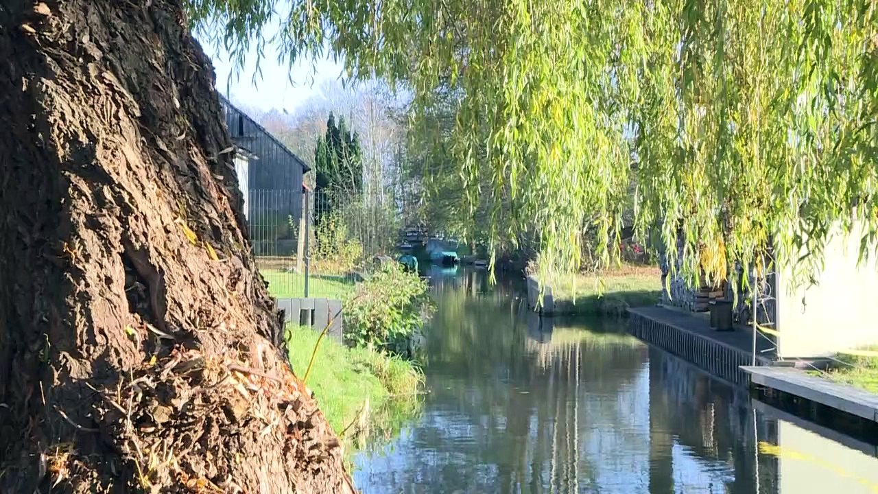 Wer wagt, gewinnt: Roggen-Whisky aus dem Spreewald