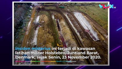 Bangkai Cerpelai Korban Pembantaian Muncul dari Tanah Kubur