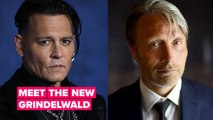 Johnny Depp replaced by sexy Danish actor for Fantastic Beasts 3