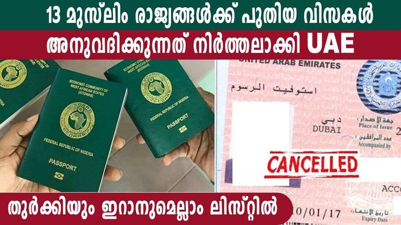 UAE Stops Issuing Visas To Pakistan, 12 Other Countries Over Security Concerns