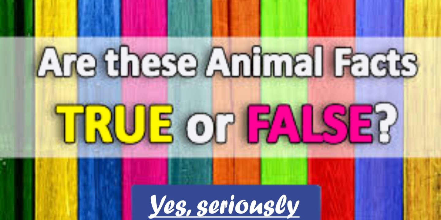 Common Animals Uncommon Behavior|Behavior Diversity|Explore  Amazing Things You Didn't Know about Animals|#levelup4u