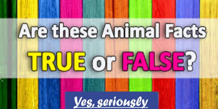 Common Animals Uncommon Behavior|Behavior Diversity|Explore Amazing Things You Didn't Know about Animals|#levelup4u