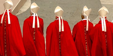 13 nuevos cardenales con olor a oveja