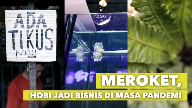 Dari Hobi Jadi Ladang Cuan, Deretan Usaha yang Sukses Selama Pandemi