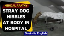 Stray dog nibbles on body at hospital | Medical apathy charge | Oneindia News