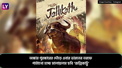 Jallikattu Is India\'s Entry To Oscars 2021: ২৭ ছবি ছাপিয়ে অস্কারের দৌড়ে মালায়লম ছবি ‘জাল্লিকাট্টু’