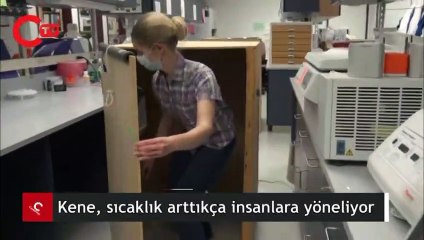 Sıcaklık arttıkça insanlara yöneliyor