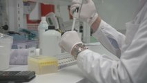 Londres solicita a regulador que evalúe eficacia de la vacuna de AstraZeneca