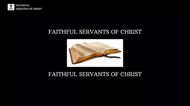 The Pagan Roots Of Christmas Trees