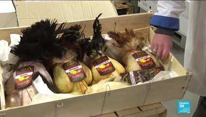 Traders at Rungis mega-market 'optimistic' for festive French Christmas