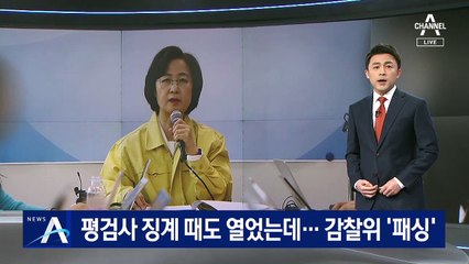 평검사 징계 때도 열었는데…秋 감찰위 ‘패싱’ 논란