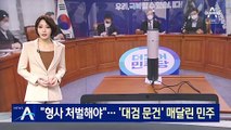 “윤석열 형사처벌해야”…‘대검 문건’ 매달린 민주당