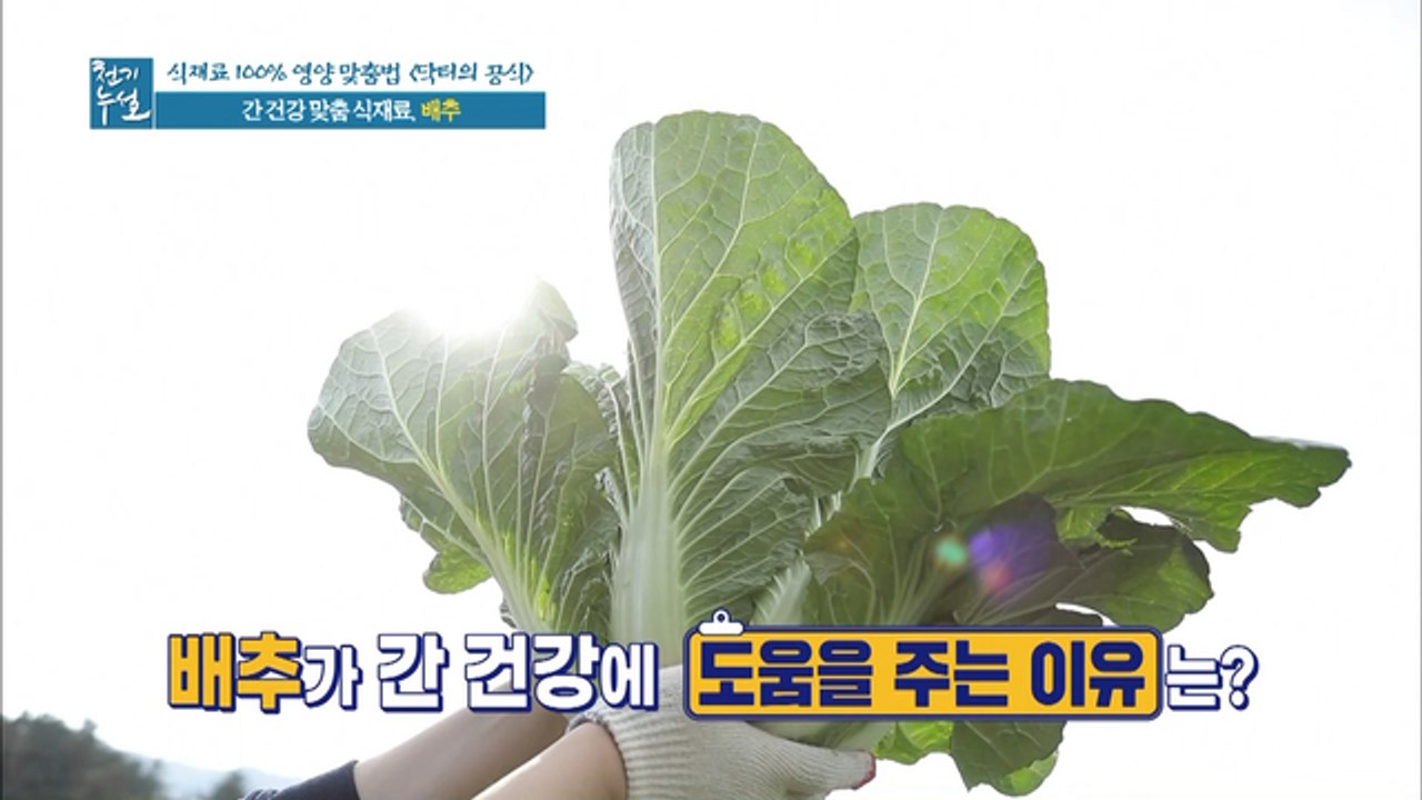 간 건강 맞춤 식재료 '배추'!