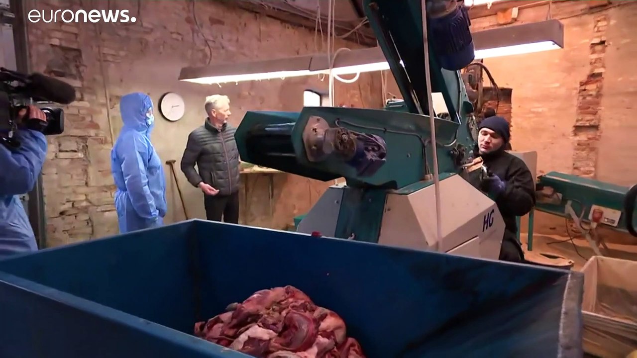 Ruinierte Nerzzüchter: Frederiksen kann Tränen kaum zurückhalten