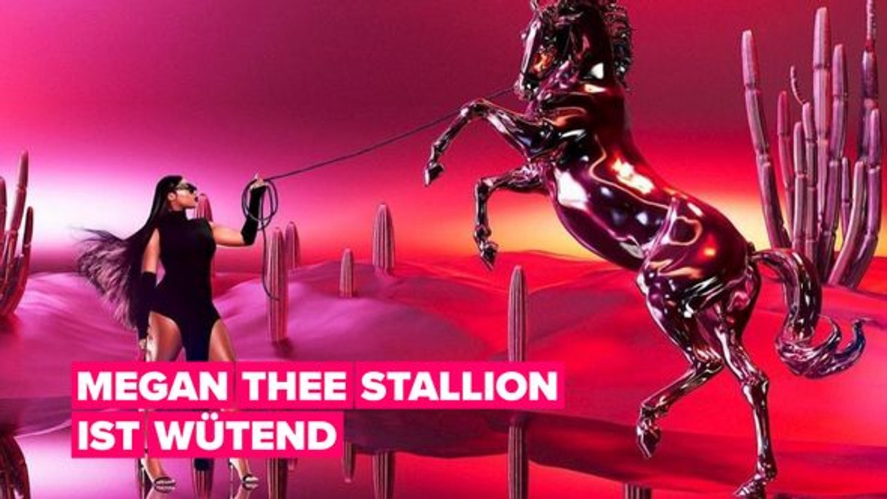 Hat megan thee stallion ihre designs für fashion nova kopiert?