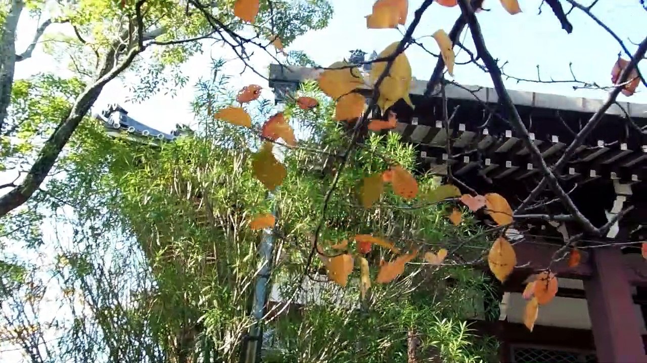 Side by Side Temples in Japan