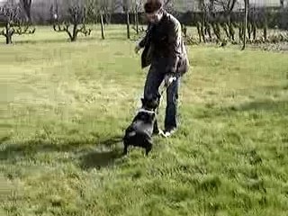 un staff qui vole ca donne quoi...??