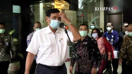 Kebijakan Soal Benih Lobster, Luhut: yang Salah Tadi Monopoli Pengangkutan