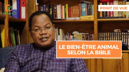 Point de vue: Le bien-être animal selon la Bible