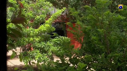 Mehewrposh  | Episode 35 | 27th November 2020 | Har Pal Geo Drama