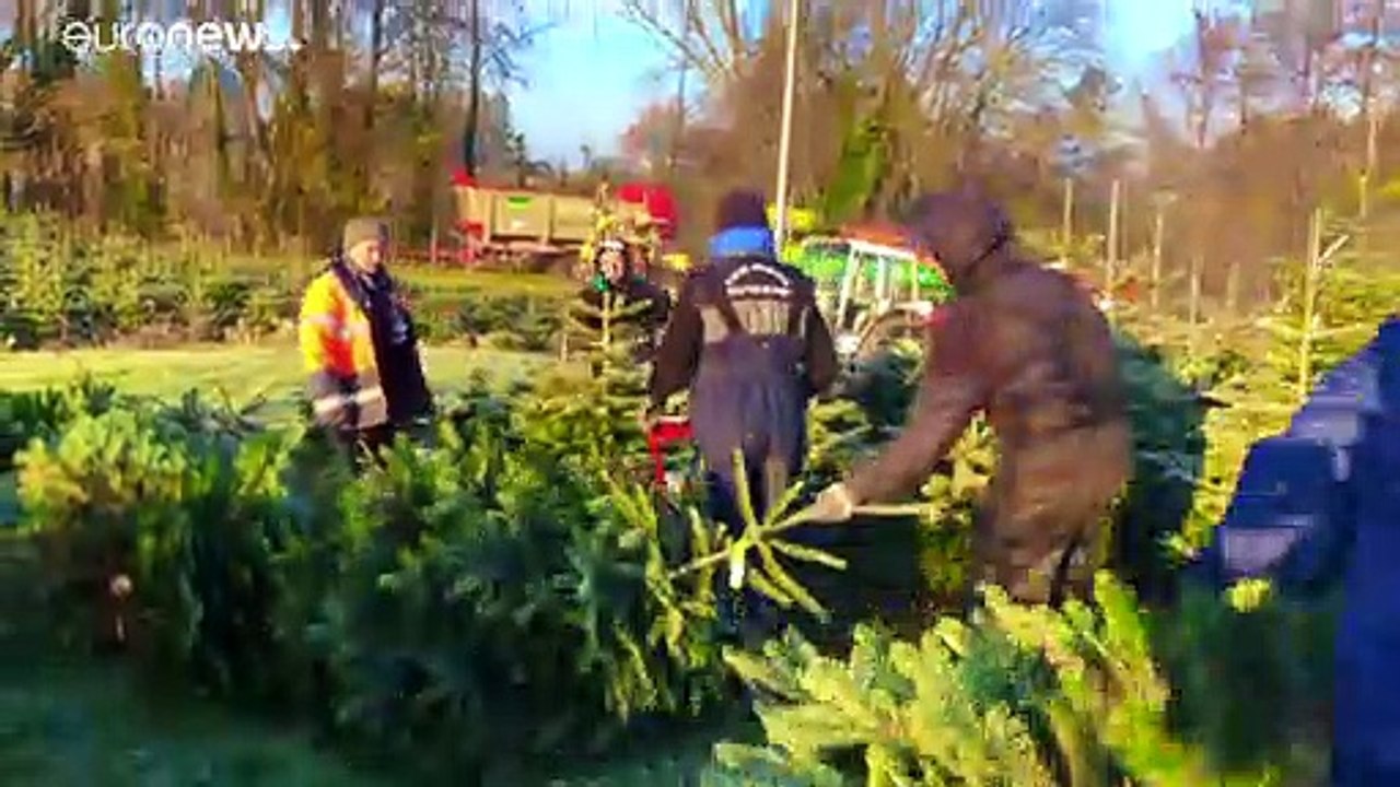 Frankreich: Es weihnachtet sehr