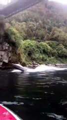 Bateau suspendu à un pont (Nouvelle-Zélande)