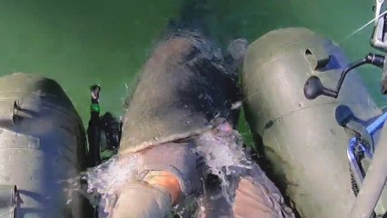 FISHING MONSTER STRIKE