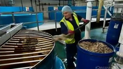 How Its Made - 725 Worcestershire Sauce