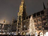 Christbaum Anzünden 2020 @ Marienplatz München - die Tanne aus Steingaden leuchtet seit 27.11.2020