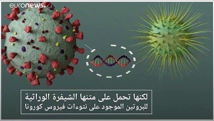 下载视频: أسترازينيكا وأوكسفورد تستخدمان حيلة 