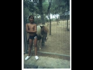 Les vacances de mes amours