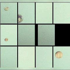 Irradiados Anónimos