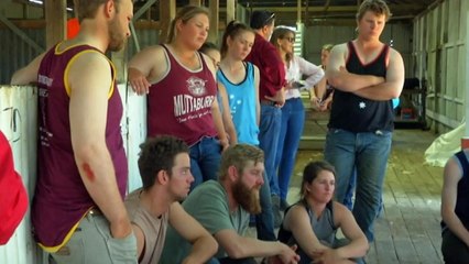 Women make their mark in the sheep and wool industry