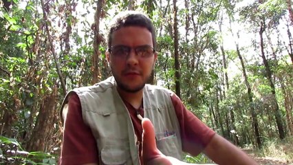 Dicas para biólogos para aproveitar animais achados mortos na natureza