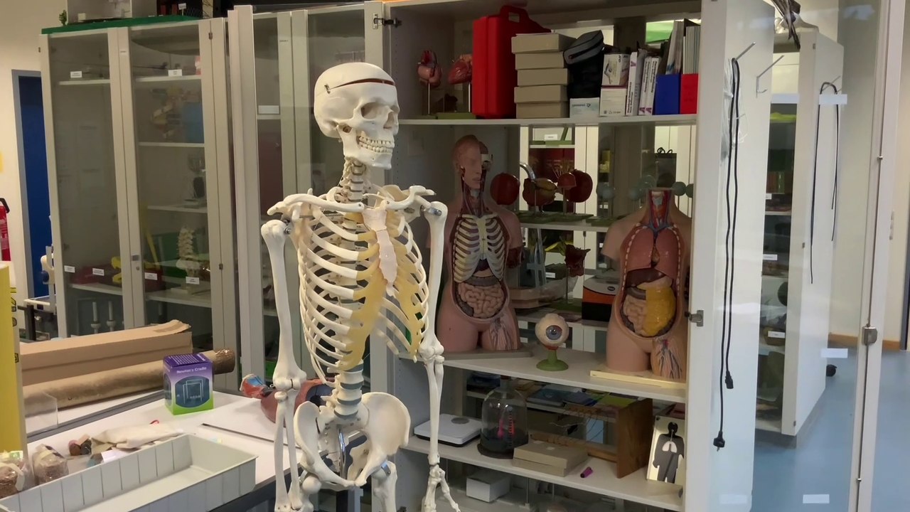 Unterrichtsräume - Biologie und Naturwissenschaften