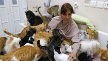 Maryam al Balushi: la mujer que vive con casi 500 gatos rescatados