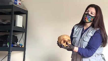 Arqueólogos peruanos surpresos com descoberta