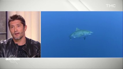Quotidien : Bixente LIZARAZU, l’esprit du requin - 19/11/2020