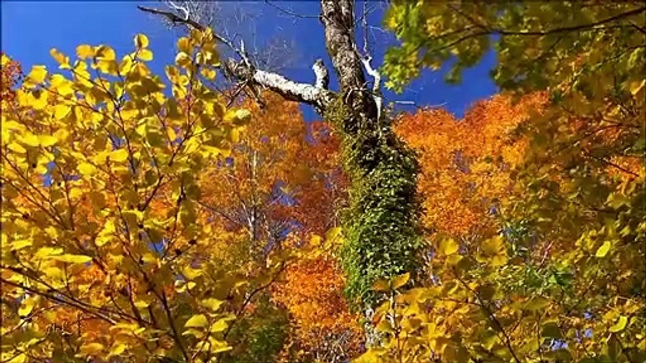 Welcome Autumn