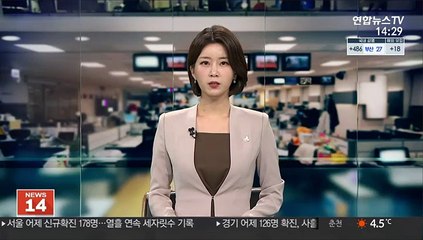 "직무정지, 대통령 묵시적 허용"…"번지수 잘못 찾아"