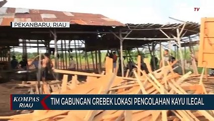 Tim Gabungan Grebek Lokasi Pengolahan Kayu Ilegal
