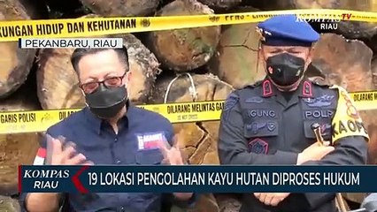 19 Lokasi Pengolahan Kayu Hutan Diproses Hukum