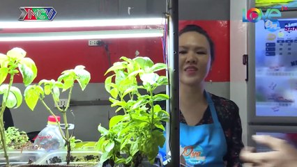 Chàng kỹ sư người Ai-Len BỎ CÔNG VIỆC xây dựng sang Việt Nam bán BÁNH MỲ | NKN