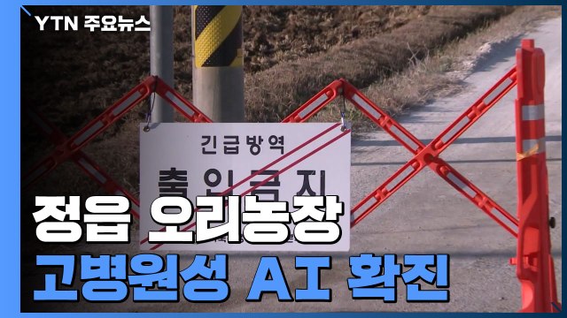 정읍 오리농장서 고병원성 AI 확진...올해 가금농장 첫 사례 / YTN