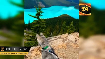 Peyto Lake in Canada l SYA Channel