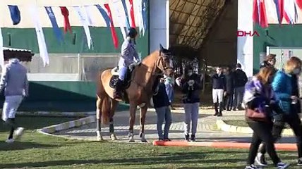 Engel atlama yarışmasında binicilerin zor anları