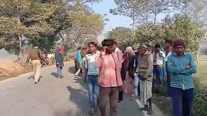 बाइक से भाई के साथ जा रही महिला को ट्रक ने रौंदा, मौके पर हुई मौत